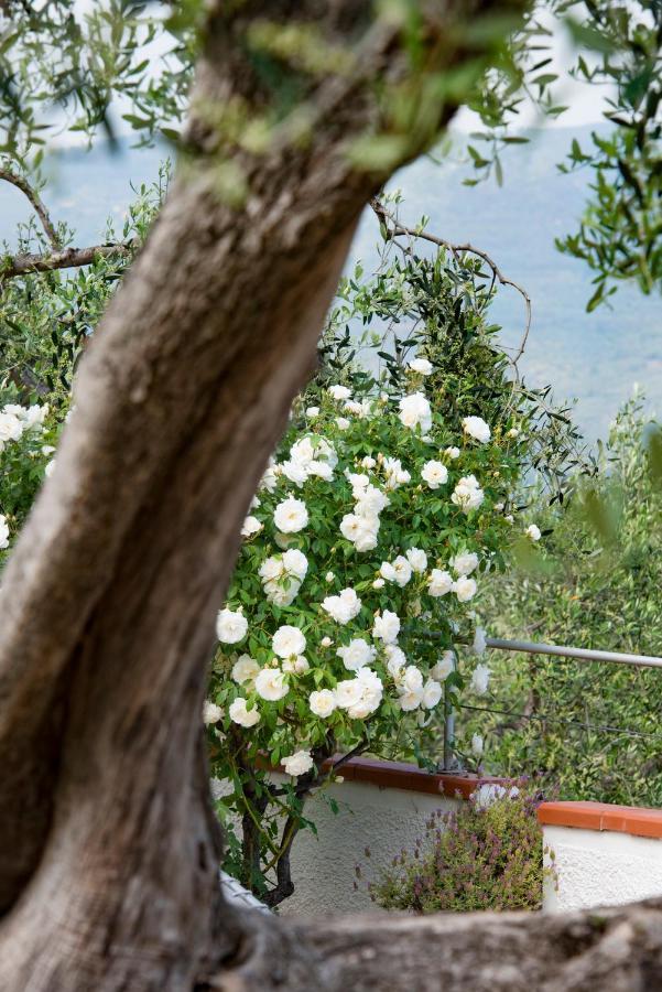 Villa Annetta Poggi Eksteriør bilde